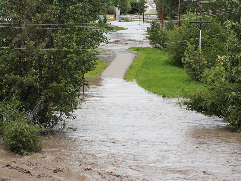 How to help clients mitigate water damage risk Image