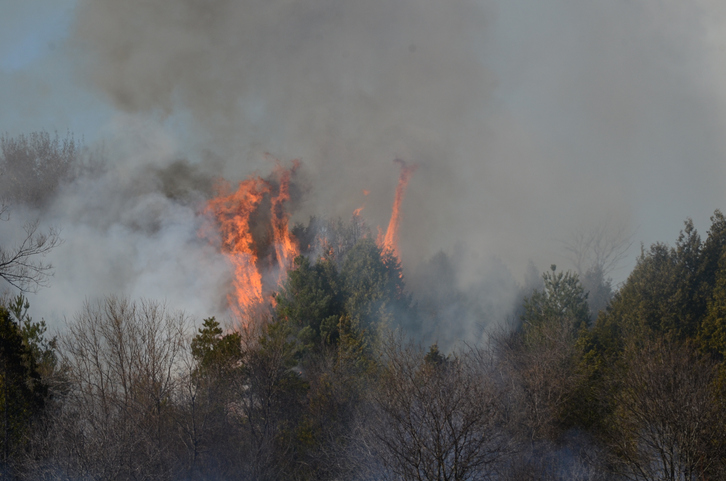 First Nations seek emergency declaration from province over northern Ontario wildfires Image