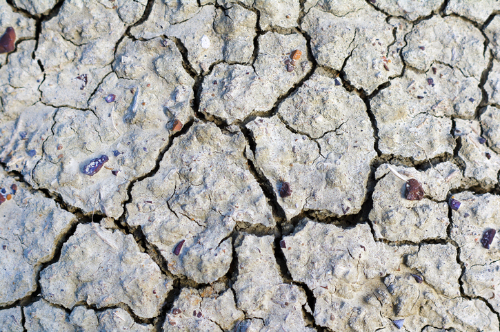 Severe drought expected to cost Alberta $1 billion in insurance payouts Image