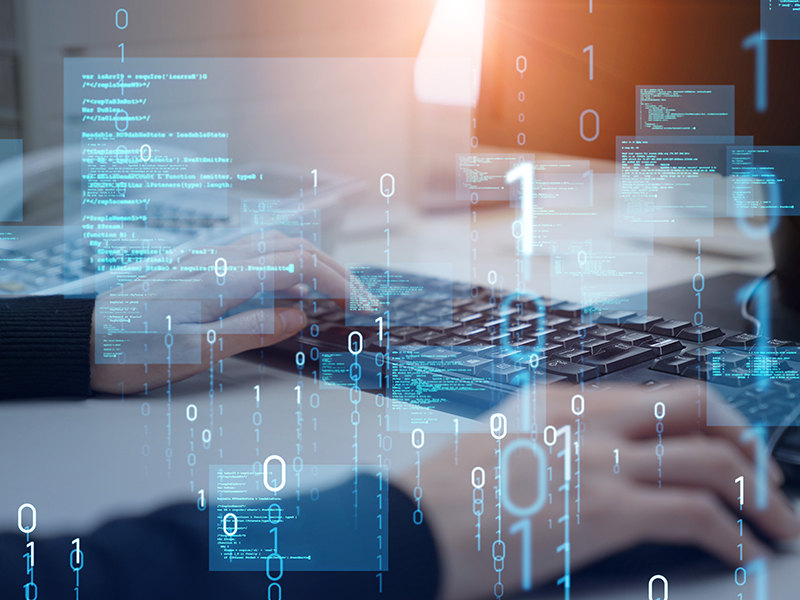 CEOs becoming easy targets of ‘spear-phishing’: cyber insurance provider Image