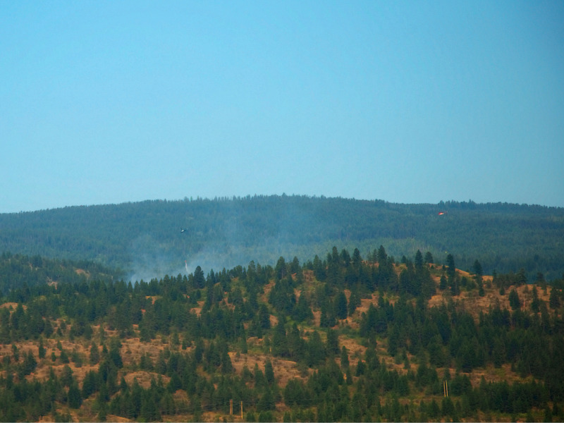 Hundreds of properties on evacuation alert due to fire near Penticton, B.C. Image
