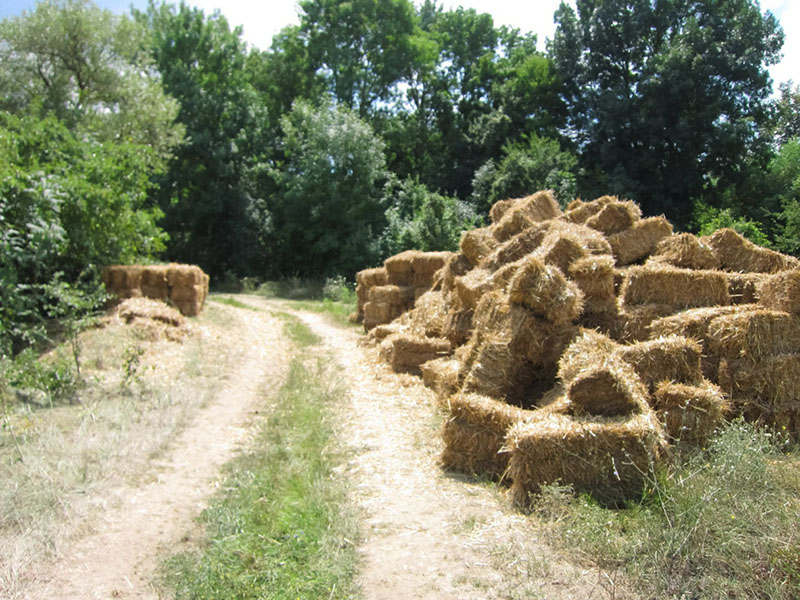 Maritime farmers ship hay to drought-stricken Prairies Image