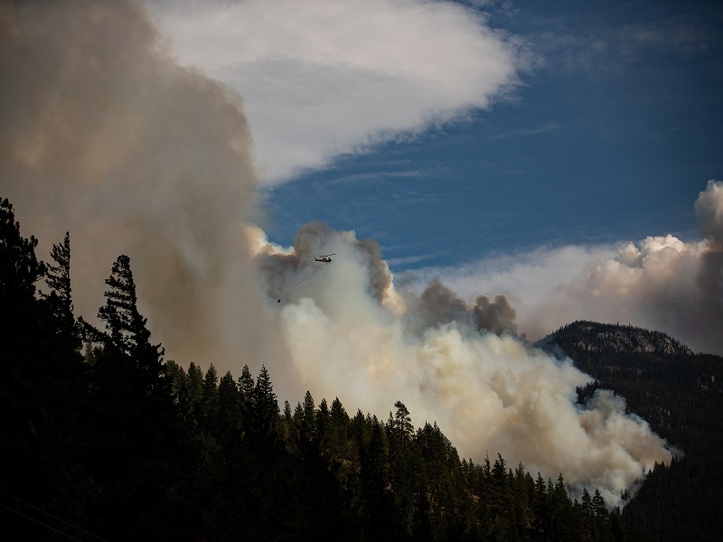Wildfire and flood disasters are causing ‘climate migration’ within Canada Image