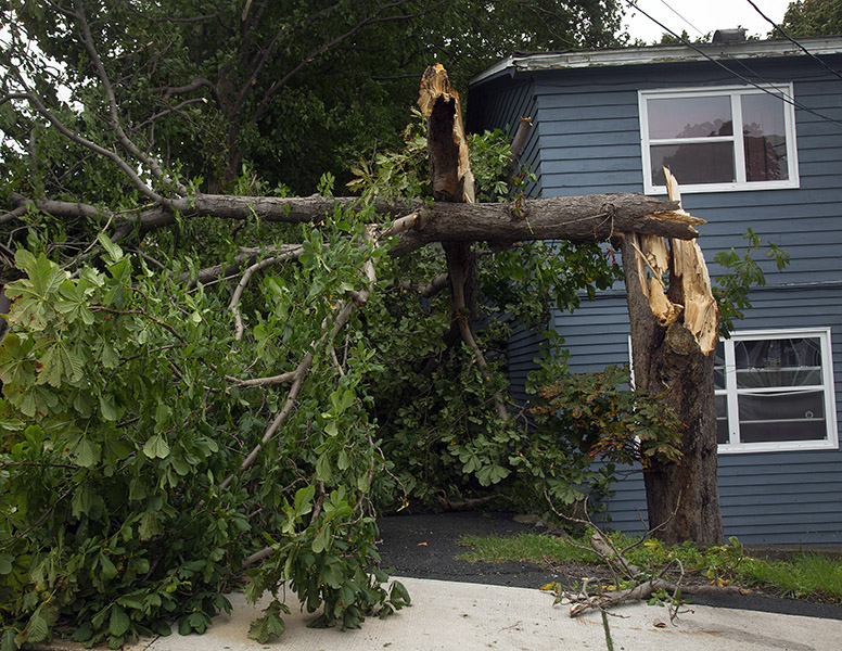 Will Hurricane Larry meet the cat threshold? Image