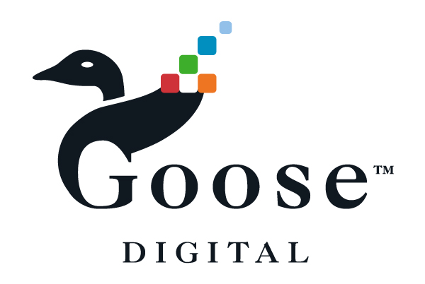 Goose Digital Joins HubSpot’s Solutions Partner Program, Helping Drive Insurance Marketing Growth Image