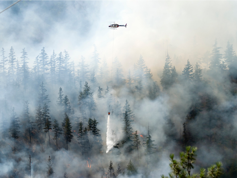 Wildfire activity decreasing across B.C., but 200 blazes still burning Image