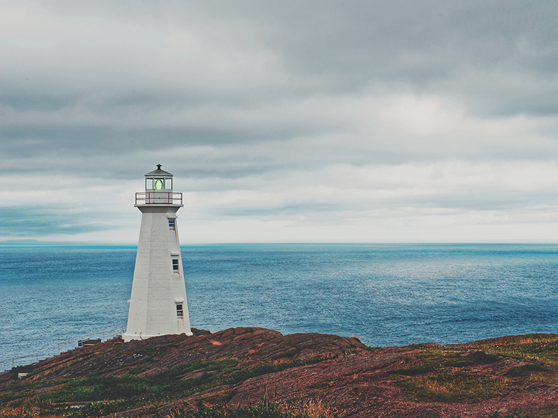 Centre of storm Larry could travel across Avalon Peninsula Image