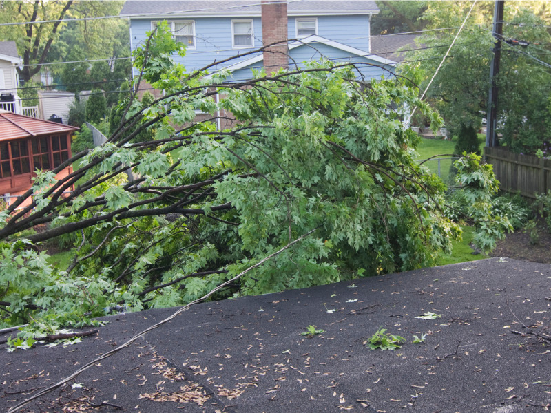 Ontario’s September storms cause insured damage of $105 million Image