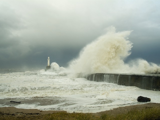  alternate text for this image