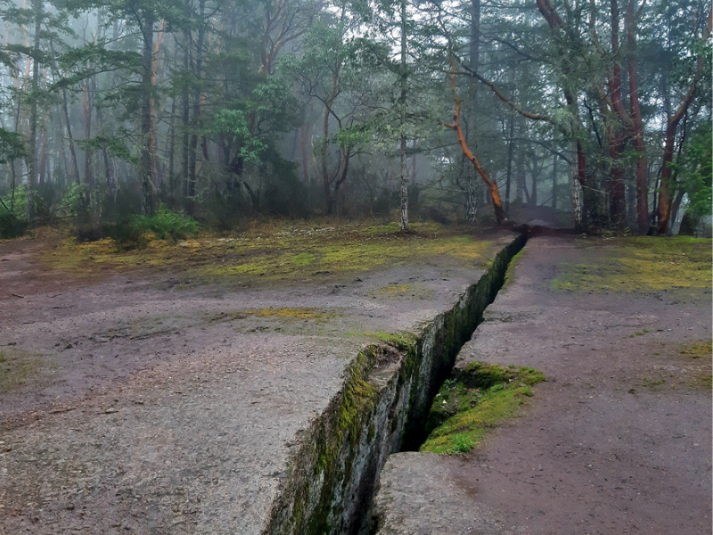 Too little, too late? The devastating consequences of natural disasters must inform building codes Image