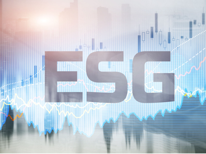 Why D&O insurers need to focus on the ‘S’ in ESG Image