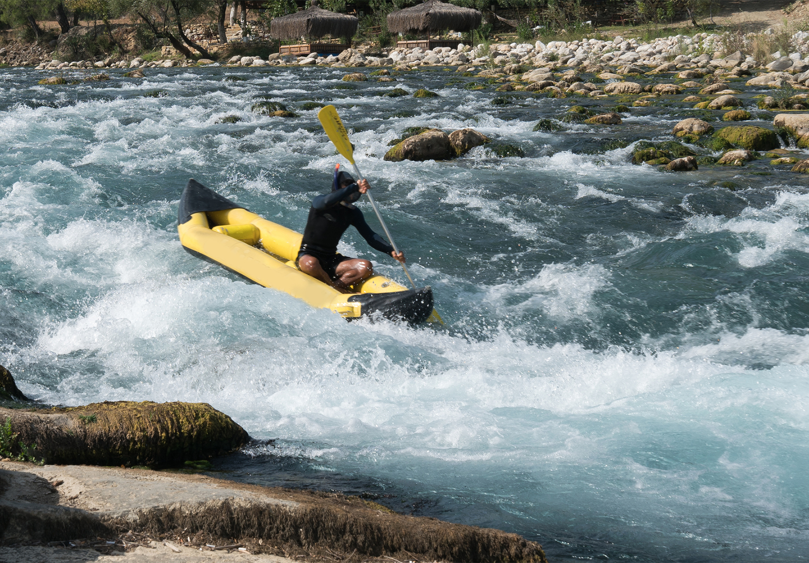 Echelon-Webinar-new-1600×1114 alternate text for this image