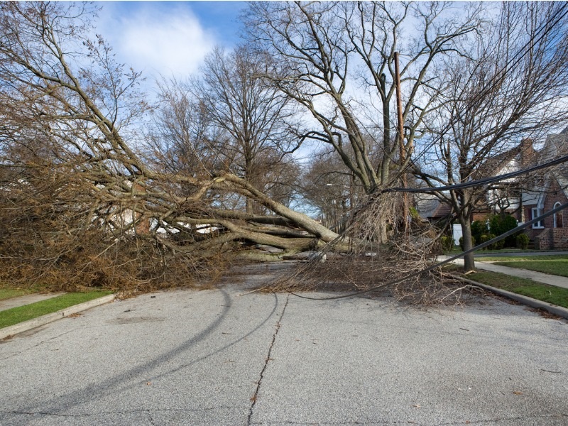 More than 80,000 customers remain without power in windswept Ontario: Hydro One Image