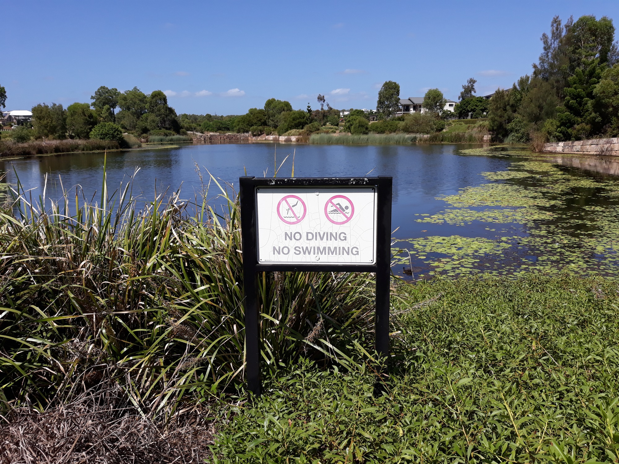 The case for tracking your risk advice Image