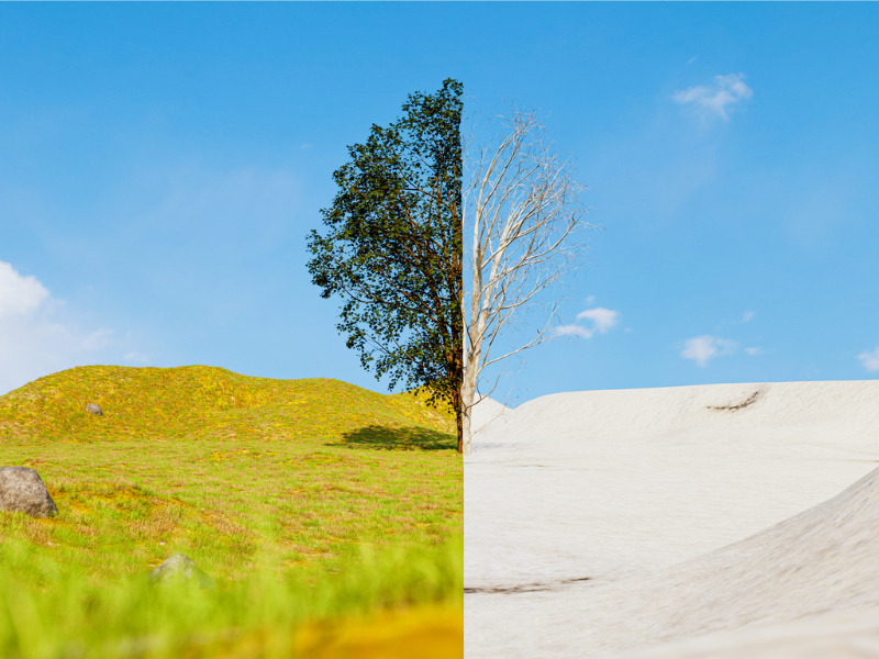 Utility says B.C.’s heat, rain and cold in 2021 underscore changing demand for power Image