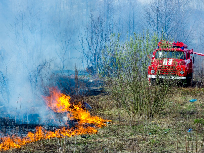 Wildfire costs show need for preventative measures Image