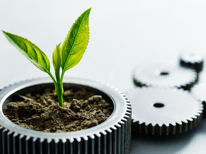 Is M&A growth better than organic growth? Image