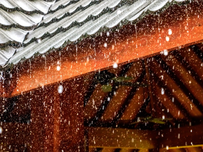 How to reduce hail damage costs Image