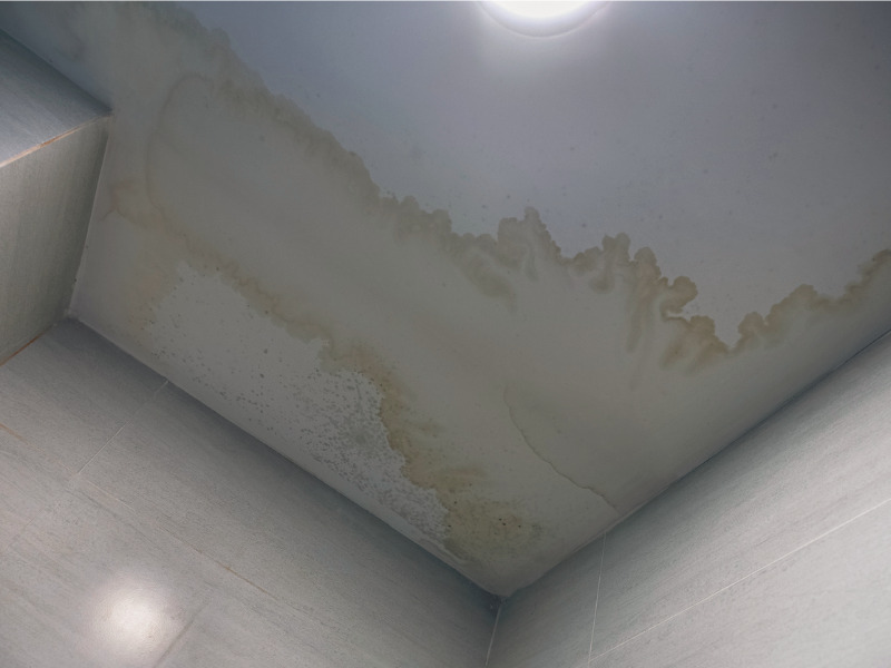 Curious case of a condo water leak shows importance of complete evidence Image