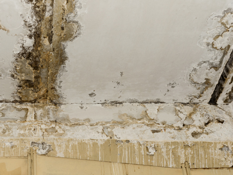 Why your client now needs environmental insurance Image