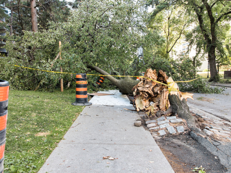 Storm that lashed Laurentians likely a tornado, Environment Canada says Image