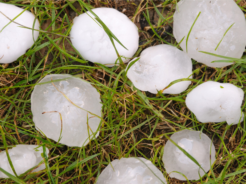 Hail as big as tennis balls, softballs and eggs fell in Alberta: Environment Canada Image