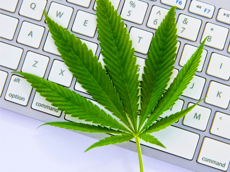 Ontario Cannabis Store unable to process deliveries after partner faces cyberattack Image