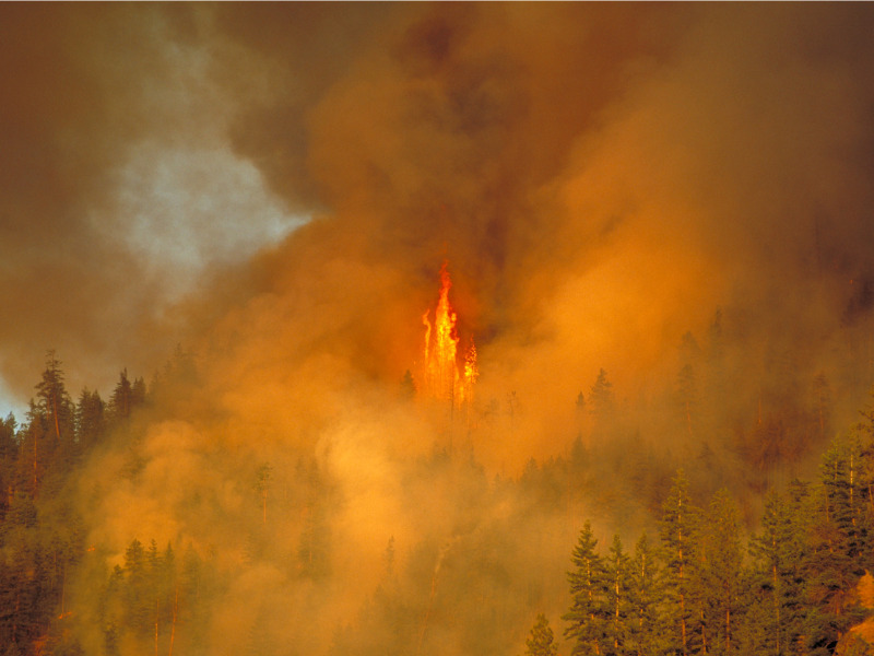 Wildfire burning near ski resort forces evacuation of hundreds Image