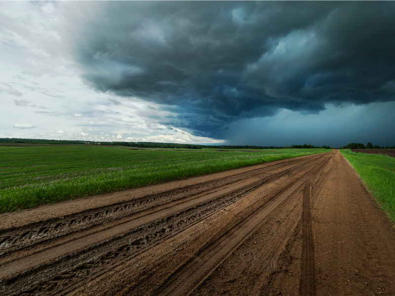 Recent Alberta storms: Two Cat tornadoes and record-breaking hail Image