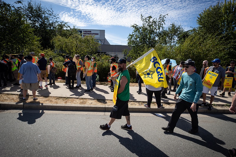 Cannabis producer says B.C. strike, cyberattack could cause $3 million revenue loss Image