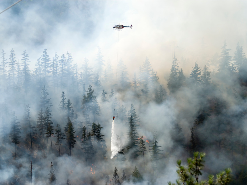 B.C.’s largest wildfire remains out of control Image