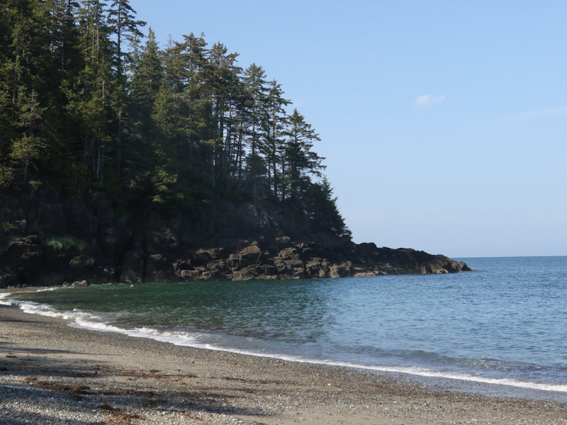 Transportation Safety Board probes tour boat sinking on Haida Gwaii Image