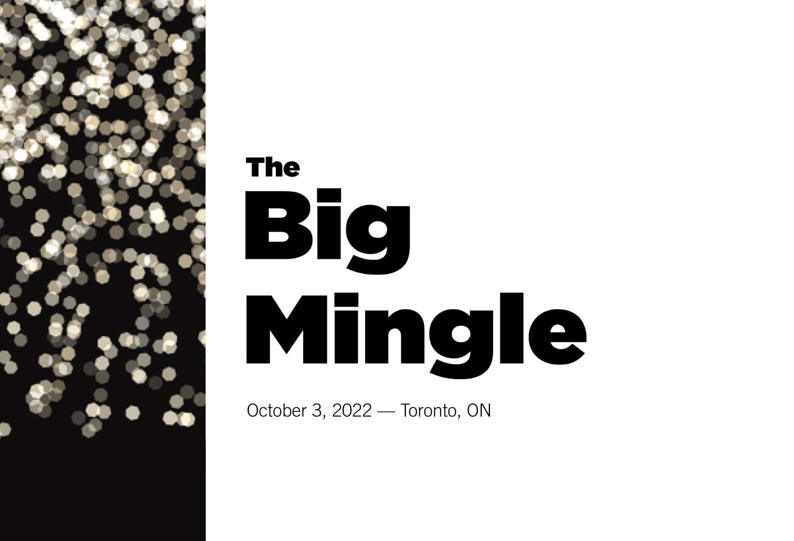 The Big Mingle 2022 – Special Thanks to Guests and Sponsors Image
