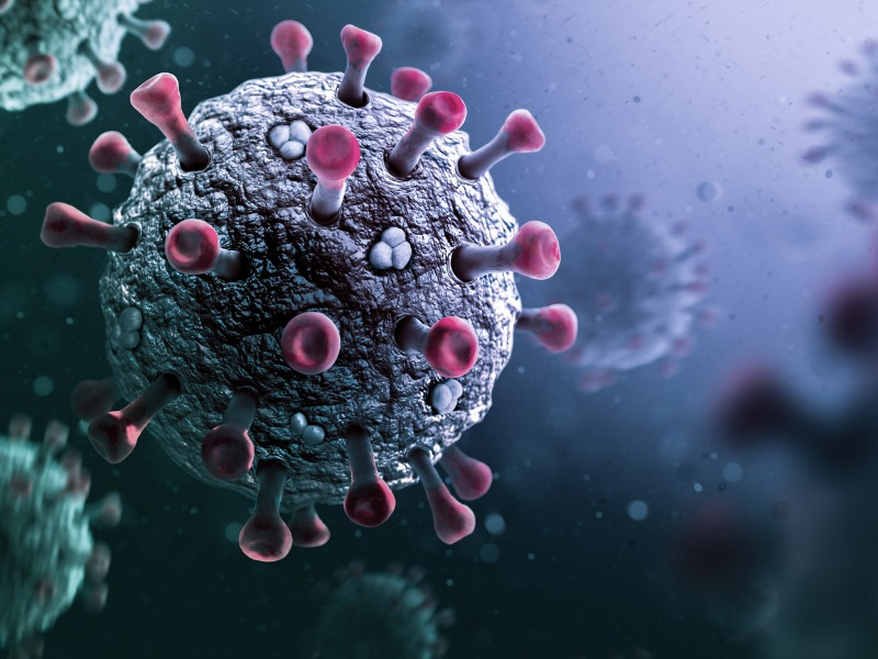 Does an immuno-compromised adjuster have to return to field work? Image