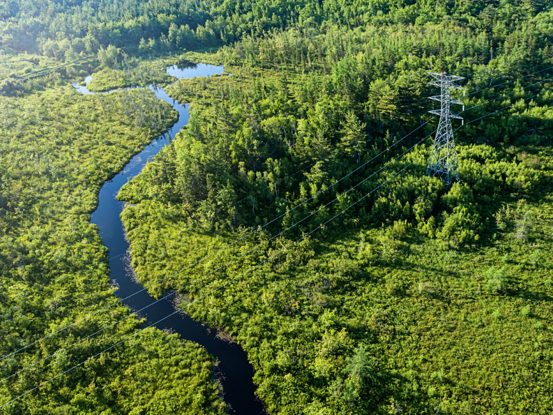 Rural Nova Scotians want power grid designed for a changing climate Image