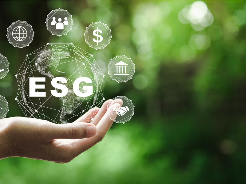 ESG reporting expectations on suppliers growing, report says Image
