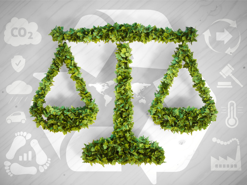 Why Canadian D&O insurers can breathe a sigh of relief Image