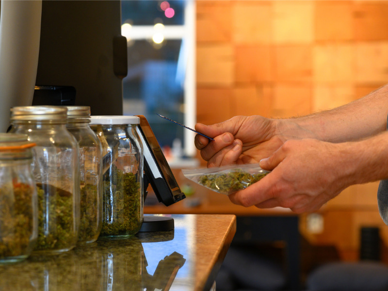 What’s new with cannabis insurance regulations? Image