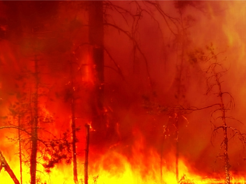 Quebec city declares state of emergency as forest fires multiply Image