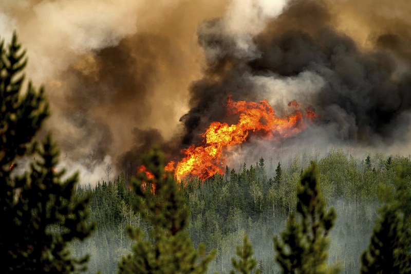 How much insurers can expect to pay for Canadian wildfires Image