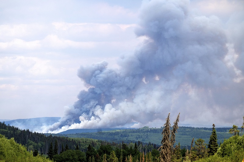 Record wildfire season in B.C. for area burned with almost 400 fires in the province   Image