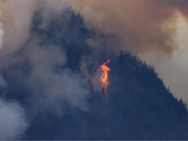 ‘Aggressive’ wildfire shuts B.C. highway as military and officials set to meet Image