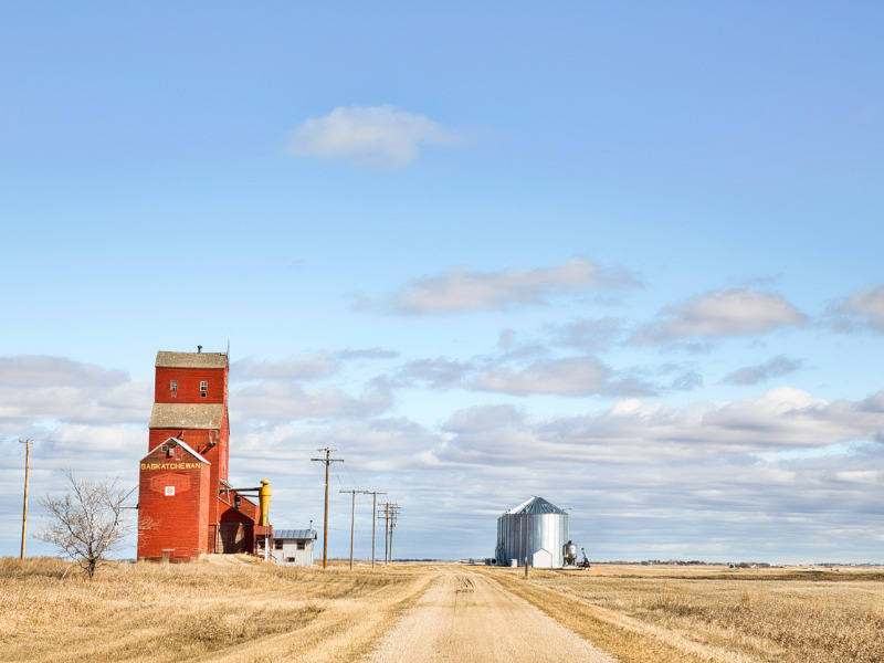 Prairie drought continues, forcing farmers to write off crops  Image