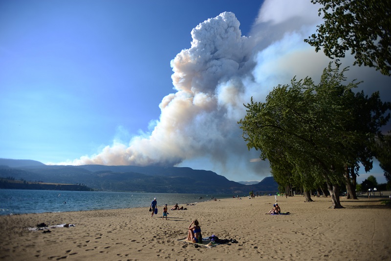 Heavy rain aids in tempering B.C. wildfires in Shuswap, Okanagan regions Image