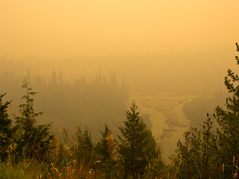 Winds, heat and lightning trigger concern as two B.C. wildfires surge Image