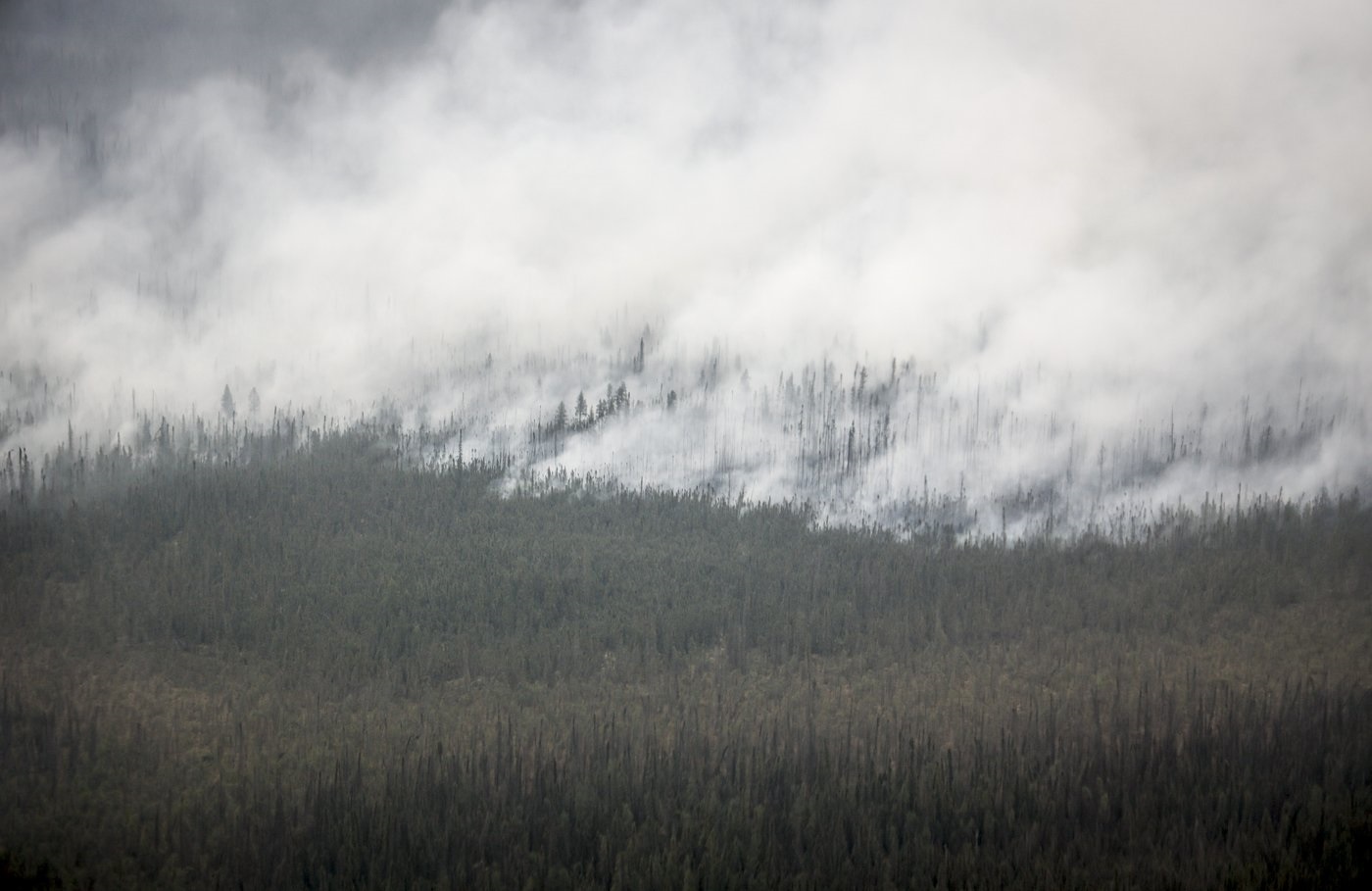 Update on Yellowknife wildfire Image