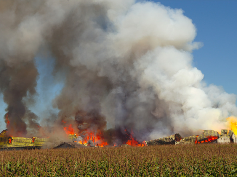How is farm fire severity trending? Image