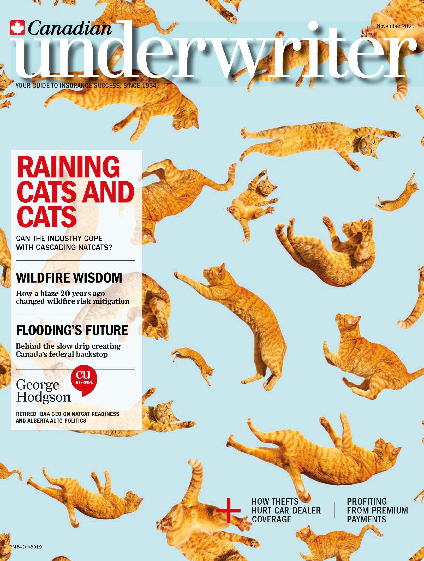  alternate text for this image