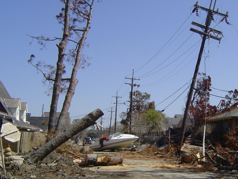 How to tame increasingly ferocious NatCats Image