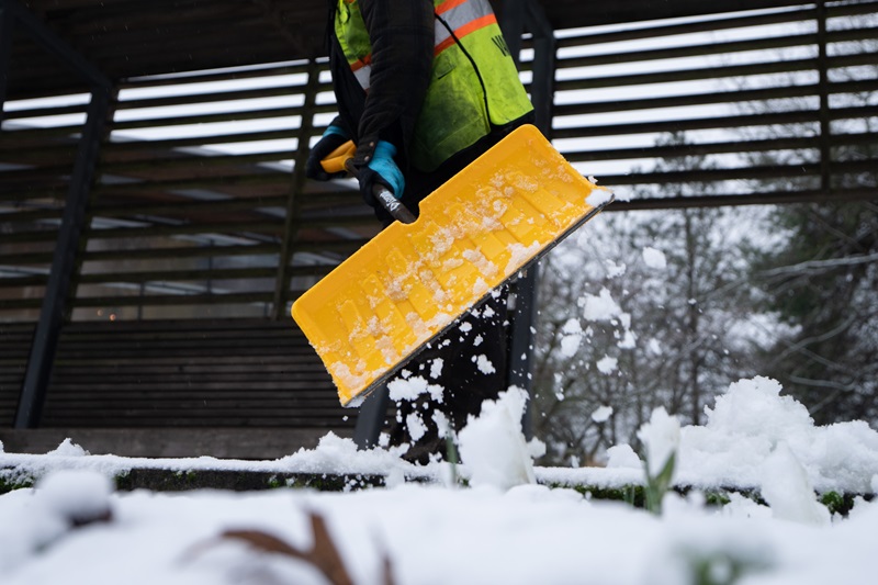 Snowstorm inbound for Metro Vancouver as winter weather rages across Canada Image